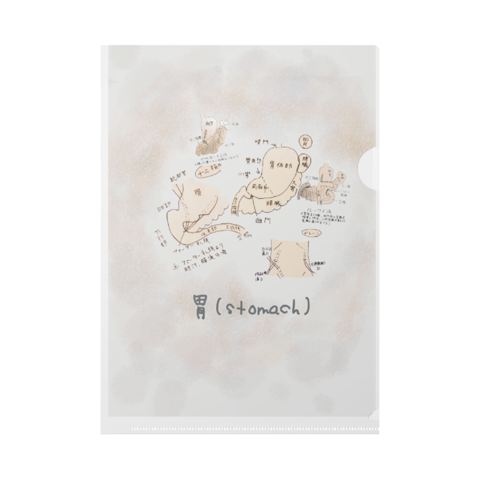 クリアファイル - B5