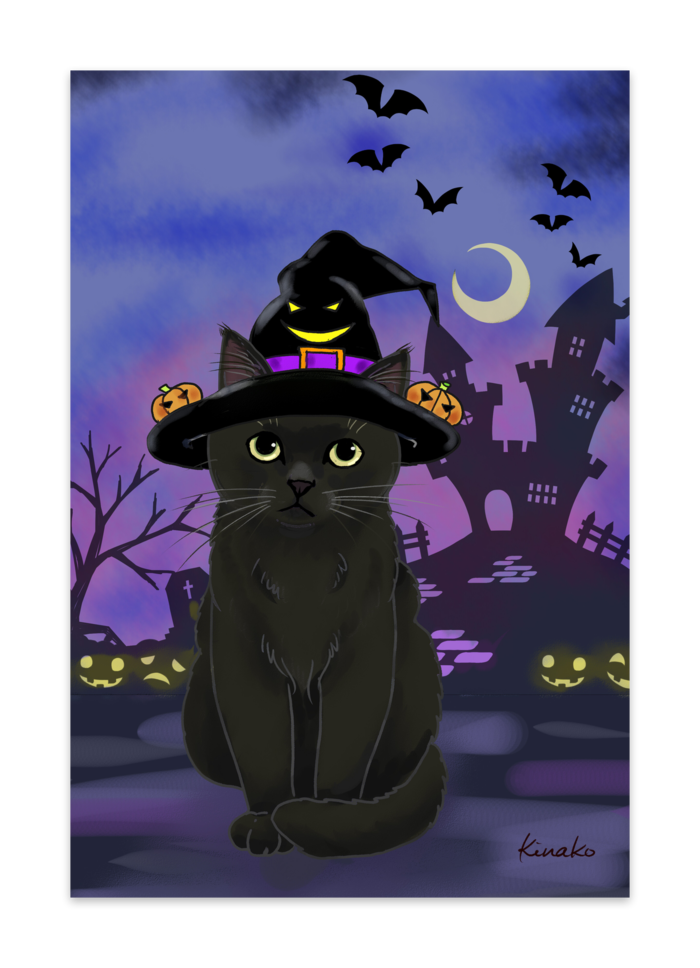 ポストカード(10枚セット) - ヴァンヌーボVGスノーホワイト195kg