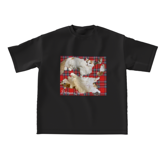 ビッグシルエットTシャツ - L - 両面(1)