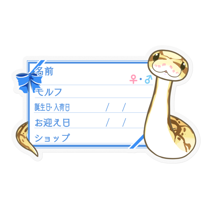 【🐍お名前ステッカー】ボールパイソン(クイーンビー) ‐リボン／ブルー