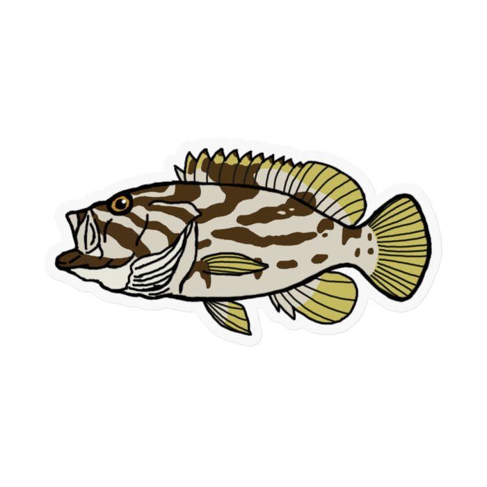 ステッカー - 100 x 100 (mm)