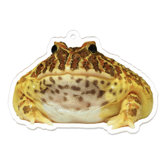 アクリルキーホルダー（コーティング） - 70 x 70 (mm)