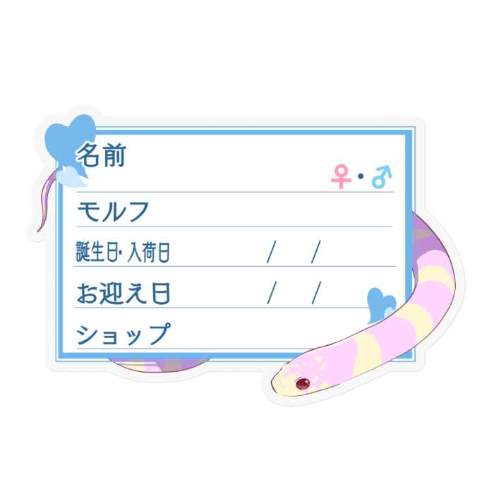 【🐍お名前ステッカー】カリキン(アルビノバンデット) ‐ハート/ブルー