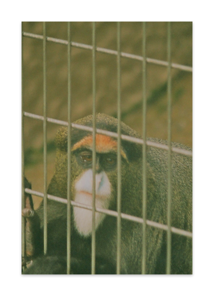 ポストカード(10枚セット) - マットコート220kg