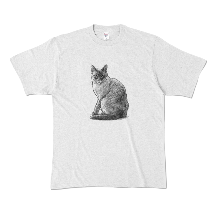 カラーTシャツ - XL - アッシュ (淡色)