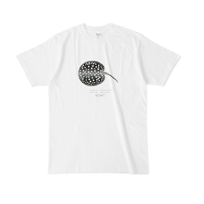 Tシャツ - L - 白