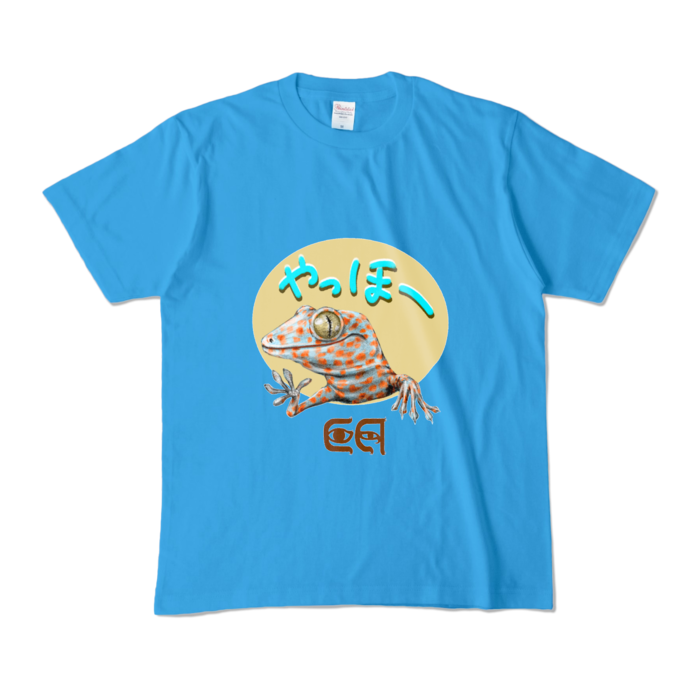 カラーTシャツ - M - ターコイズ (濃色)