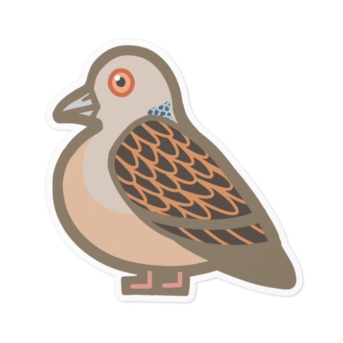 ステッカー - 100 x 100 (mm)