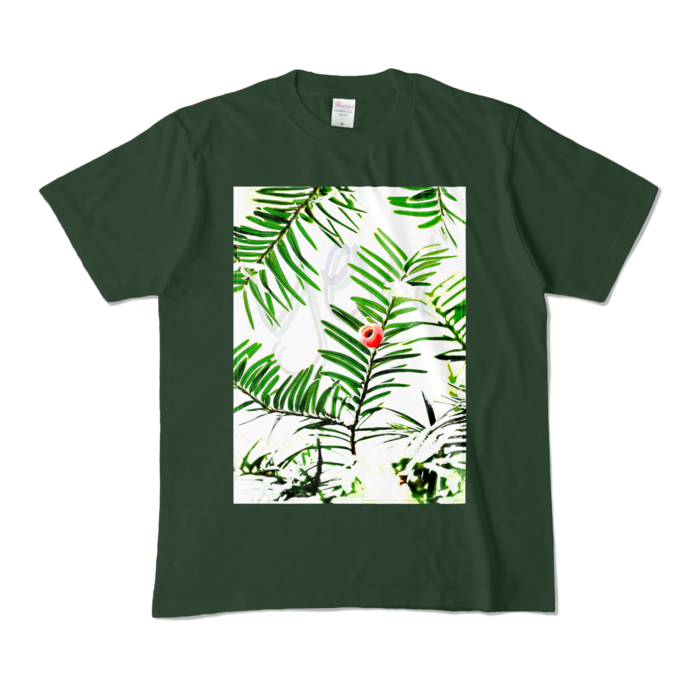 カラーTシャツ - M - フォレスト (濃色)
