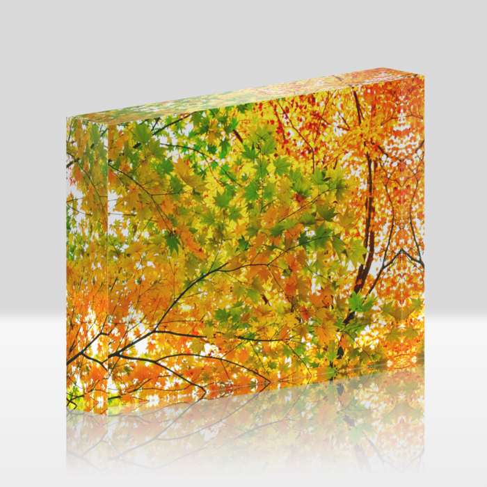 アクリルブロック - 148x100mm