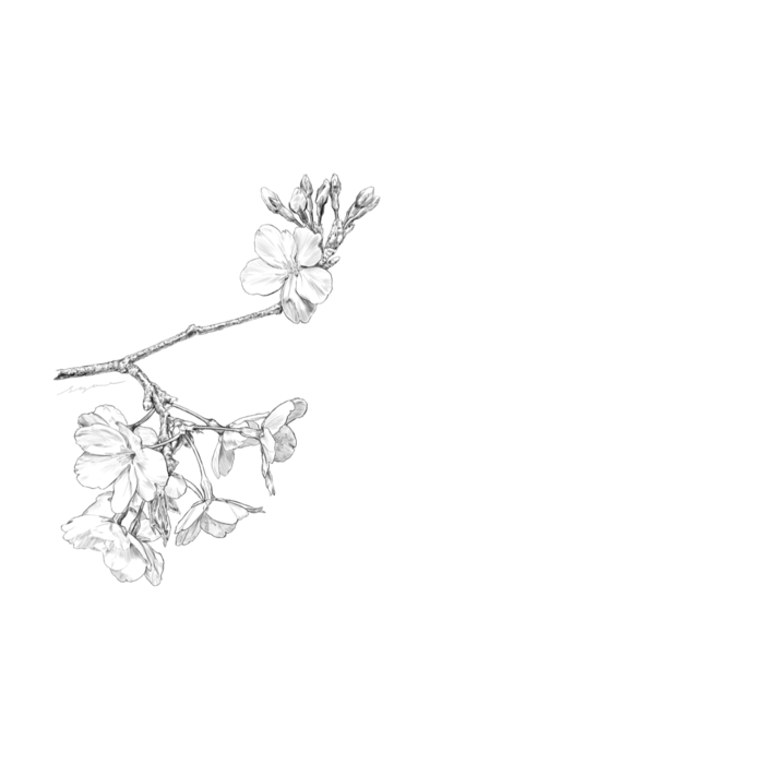 名刺(10セット) - 横91x55mm - 上質180kg