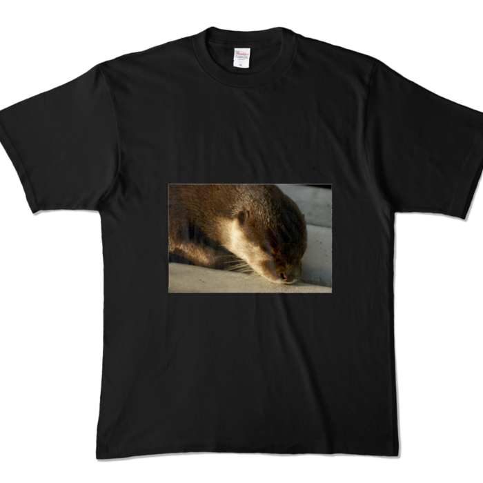 カラーTシャツ - XL - ブラック (濃色)