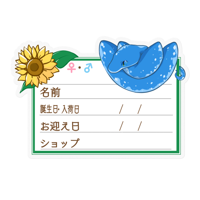 【🐍お名前ステッカー】グリンパイ(ブルーコンドロ) ‐ひまわり