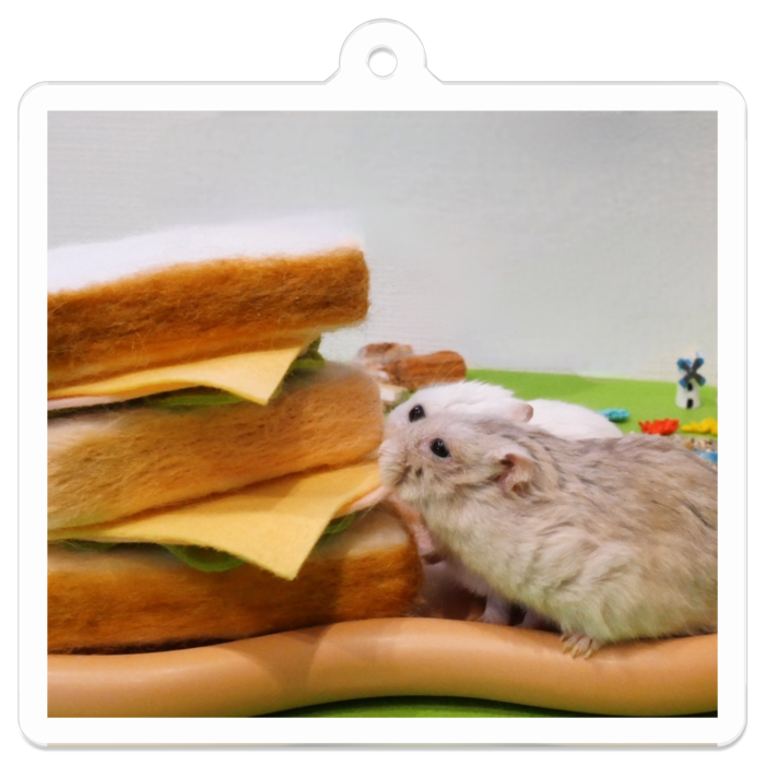 アクリルキーホルダー - 50 x 50 (mm)