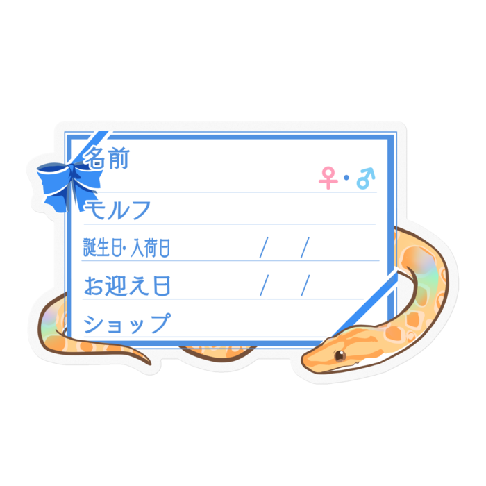 【🐍お名前ステッカー】ブラニジ(アルビノ) ‐リボン／ブルー