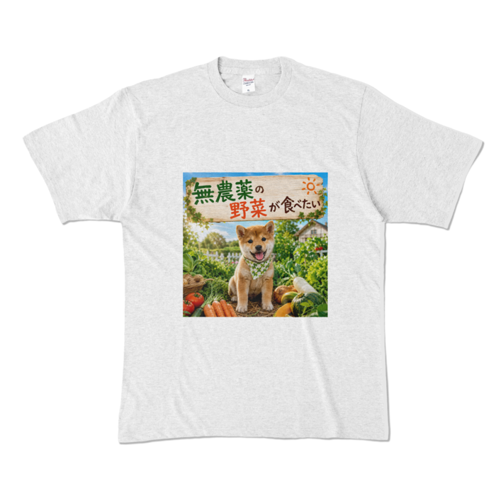 カラーTシャツ - XL - アッシュ （淡色）