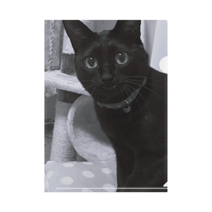 クリアファイル - A4