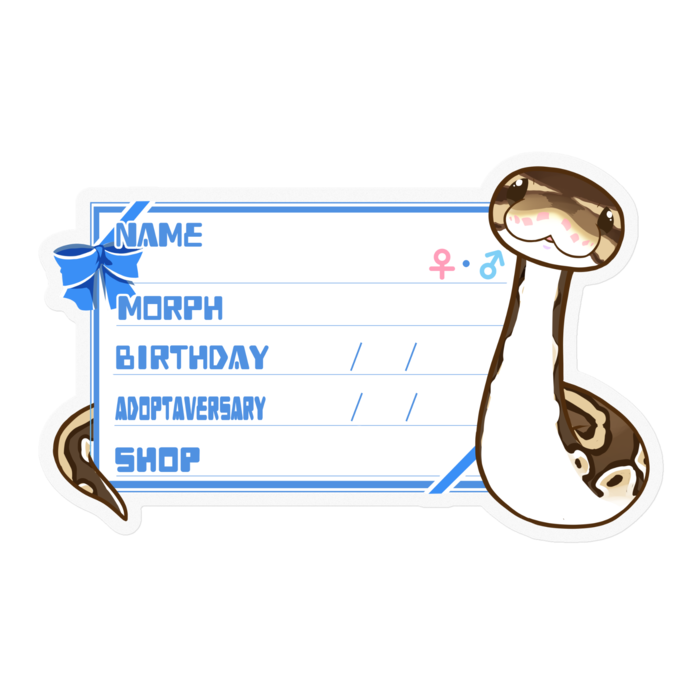 【🐍お名前ステッカー】ボールパイソン(ノーマル) ‐リボン/ブルー(英語)