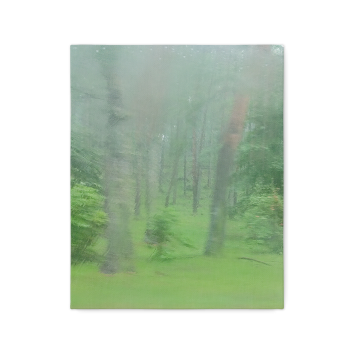 キャンバス - F3