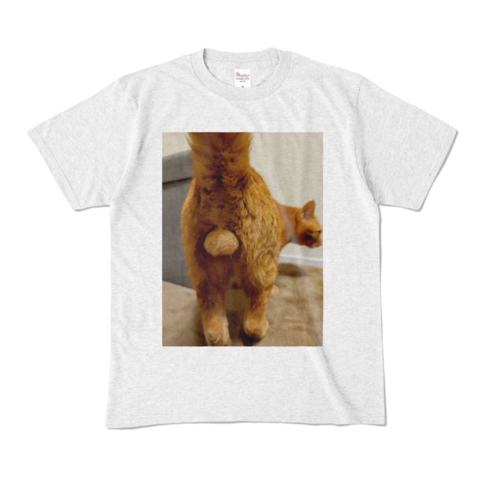 カラーTシャツ - M - アッシュ (淡色)