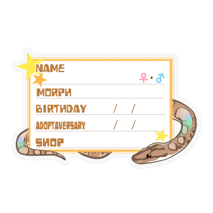 【🐍お名前ステッカー】コロニジ(ノーマル) ‐星(英語)