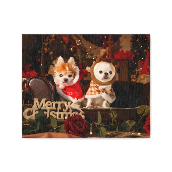 キャンバス - F3