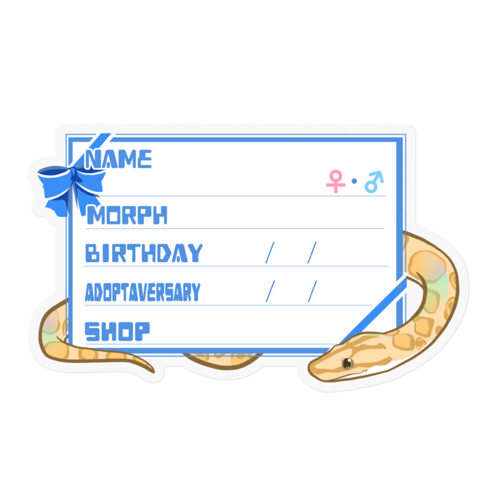 【🐍お名前ステッカー】コロニジ(パラディグマ) ‐リボン／ブルー(英語)