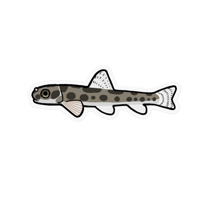 クリアステッカー - 100 x 100 (mm)