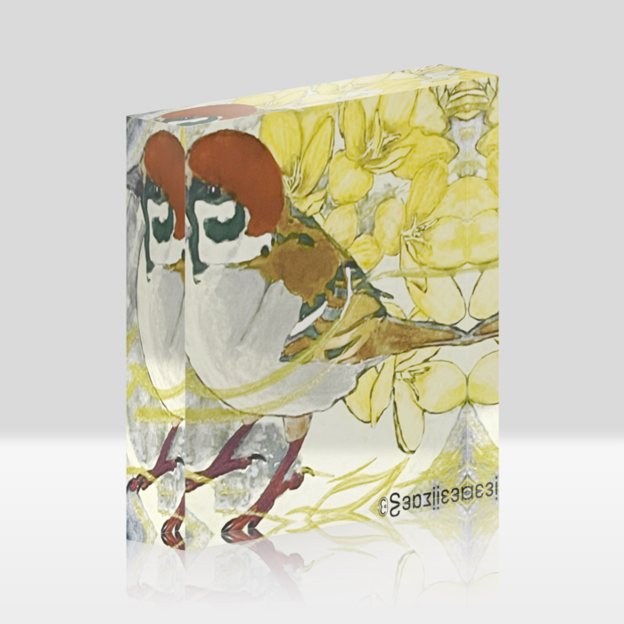アクリルブロック - 100 × 100 (mm)