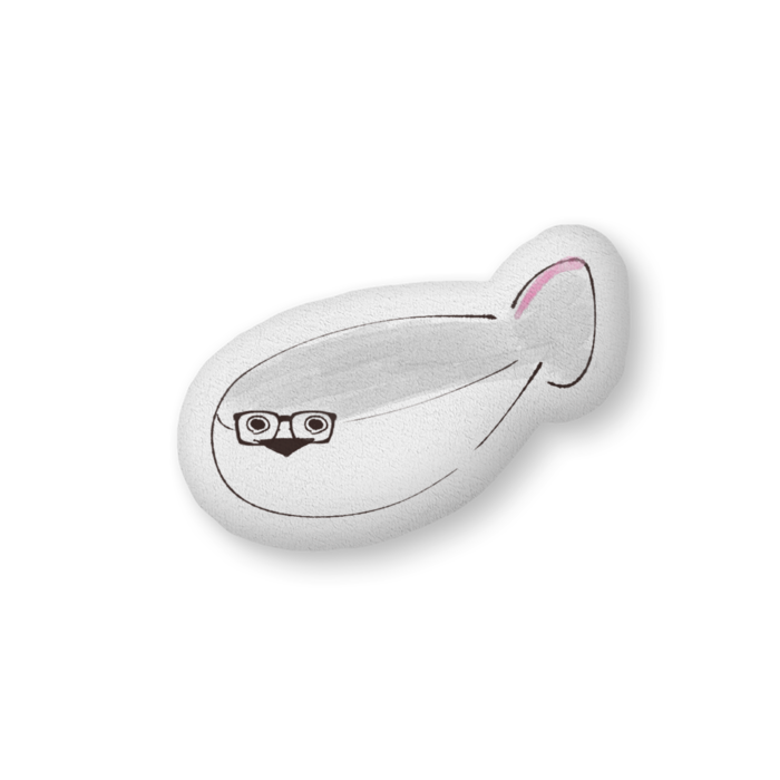 ふかふかクッション - 中(H36×W56cm) - 文字無し