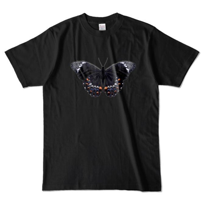 カラーTシャツ - L - ブラック (濃色)