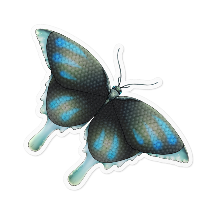 青　ー　ホワイト／100 x 100㍉