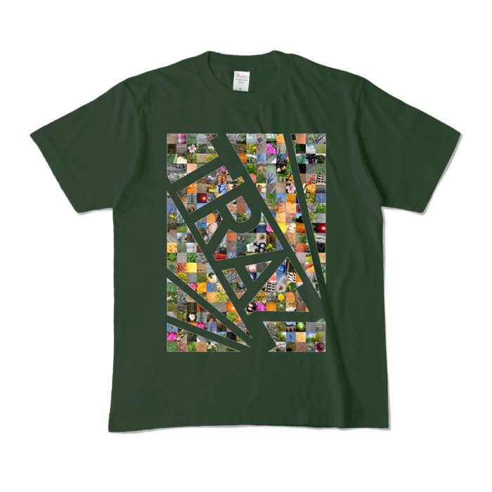 カラーTシャツ - M - フォレスト (濃色)