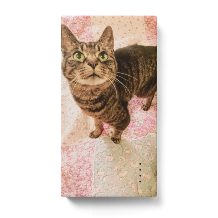 モバイルバッテリー - 123 x 65 (mm)