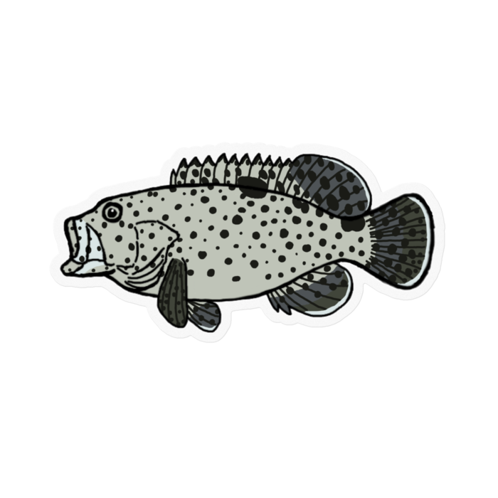 ステッカー - 100 x 100 (mm)