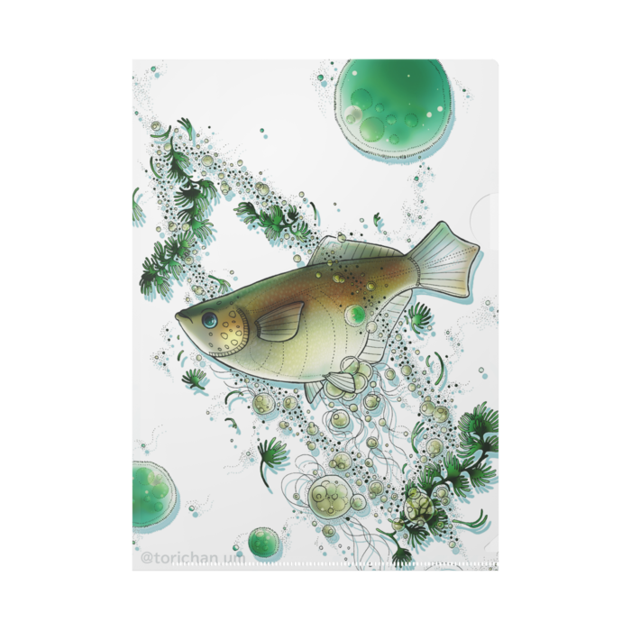 めだか宇宙(白)　B5