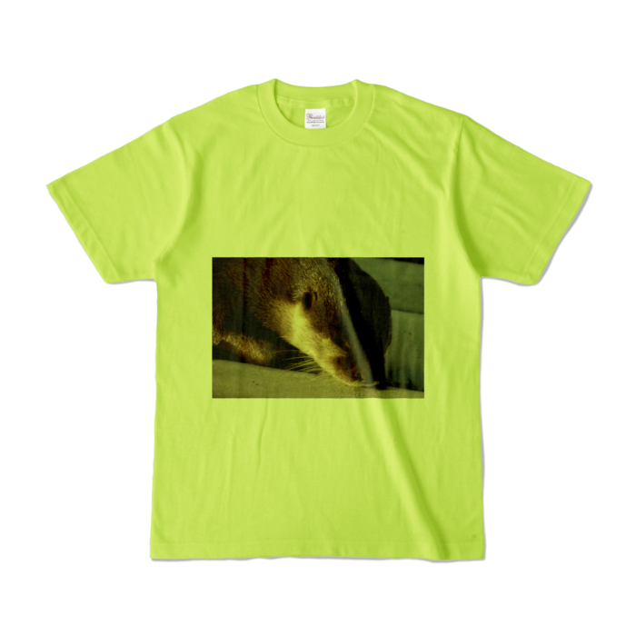 カラーTシャツ - S - ライトグリーン (淡色)