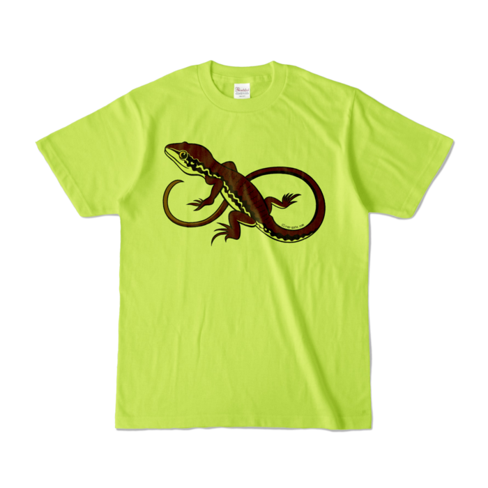 カラーTシャツ - S - ライトグリーン (淡色)