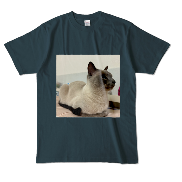 しずん カラーTシャツ - L - デニム (濃色)(1)