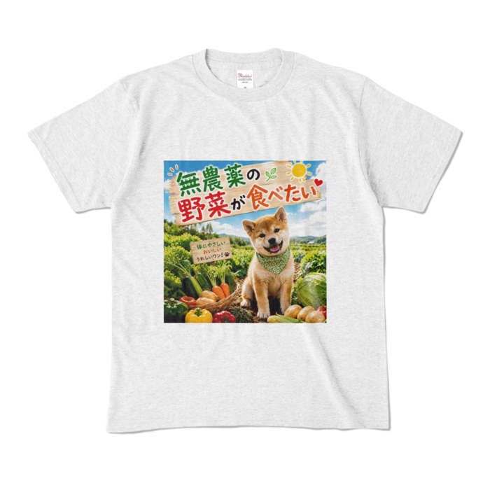 カラーTシャツ - M - アッシュ （淡色）