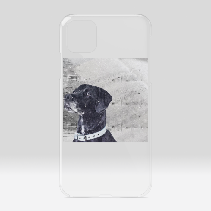 クリアiPhoneケース - iPhone11ProMax