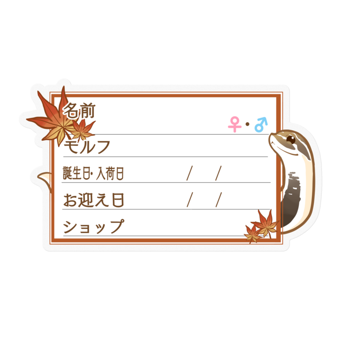 ใ๐ใๅๅในใใใซใผใใทใทใใ(ในใผใใผใณใณใ) โใใฟใ
