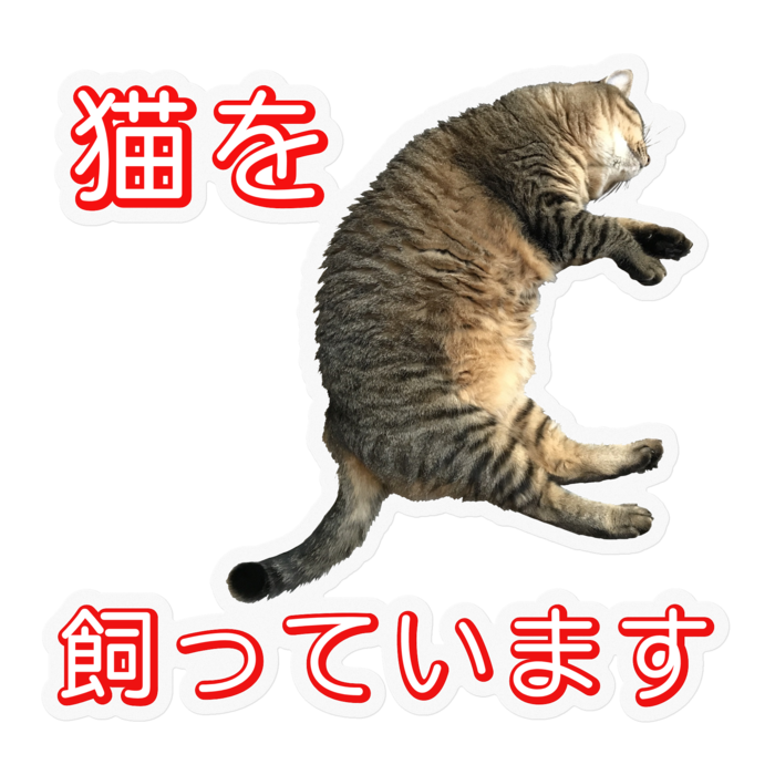 ステッカー - 100 x 100 (mm)
