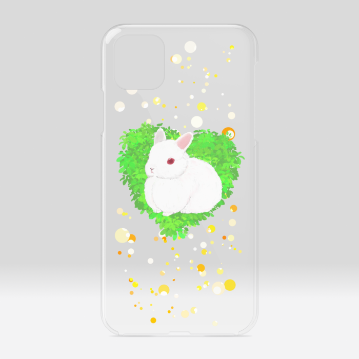 クリアiPhoneケース - iPhone11ProMax