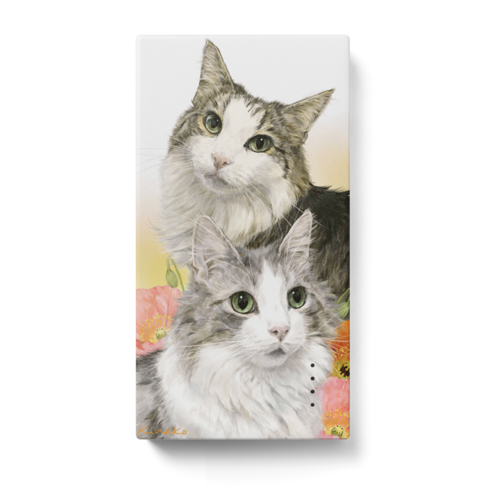 モバイルバッテリー - 123 x 65 (mm)