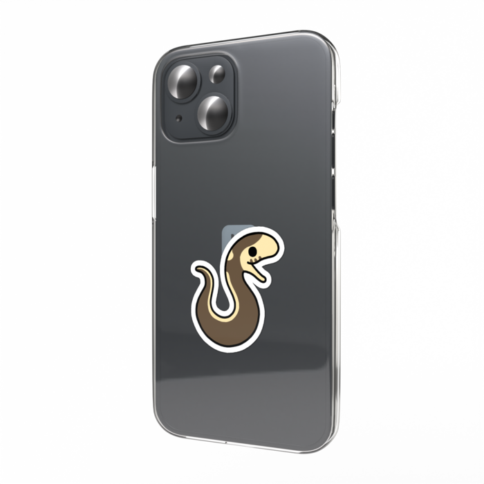 コースタルストライプ