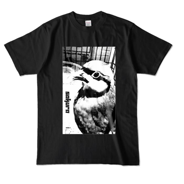 カラーTシャツ - L - ブラック (濃色)