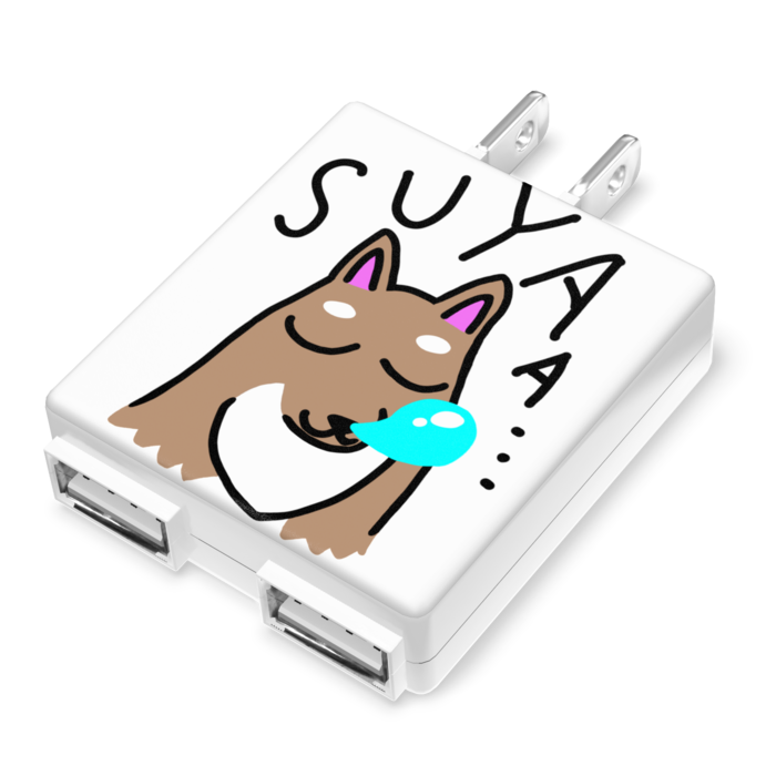 ACアダプター - 50×55mm