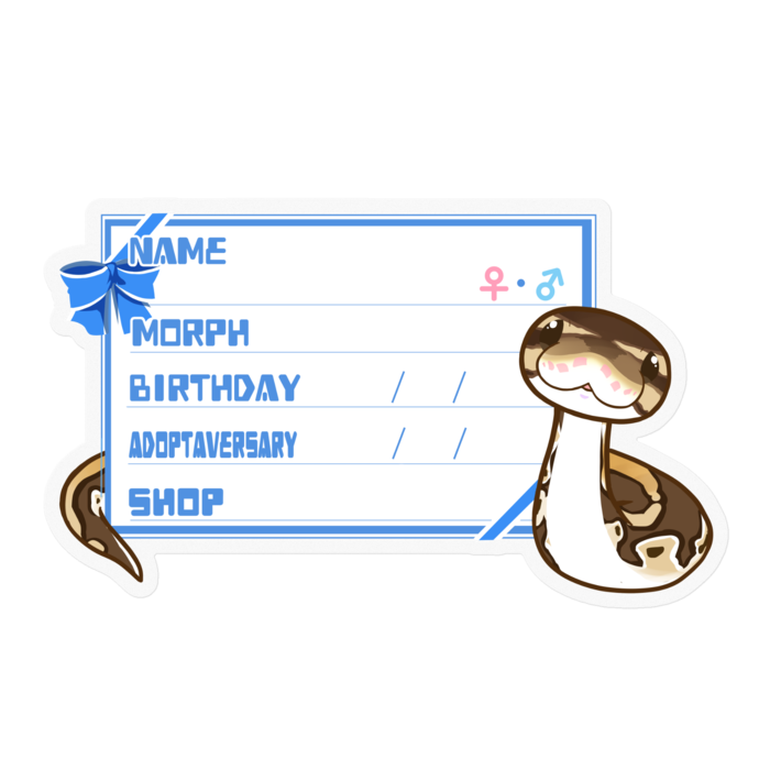 【🐍お名前ステッカー】ボールパイソン(ノーマルミニ) ‐リボン/ブルー(英語)
