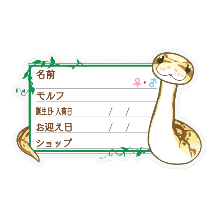 【🐍お名前ステッカー】ボールパイソン(クイーンビー) ‐ツタ